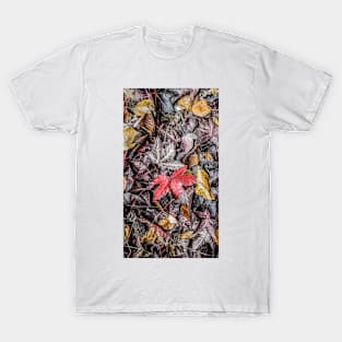 Autumn Leaves T-Shirt